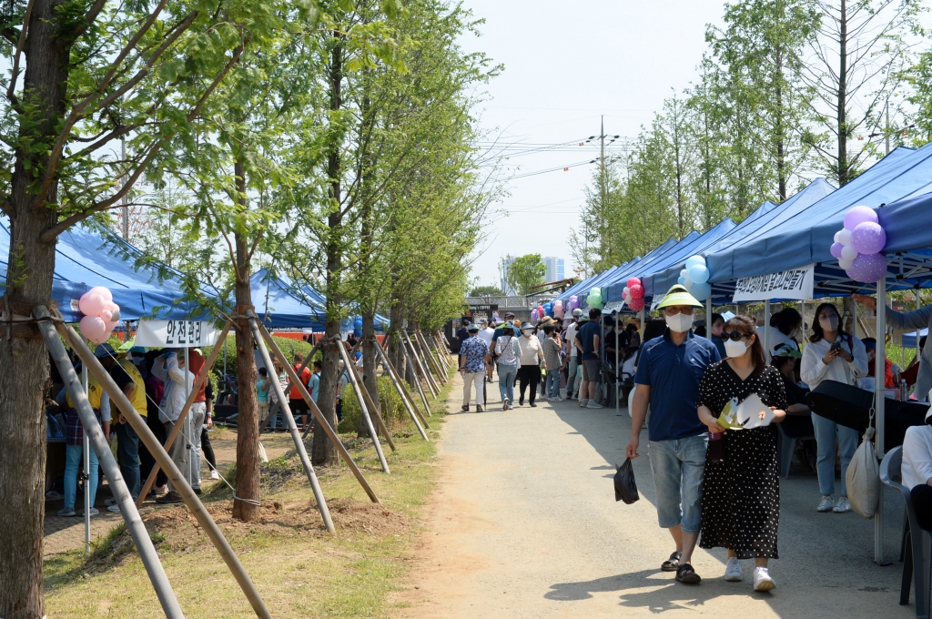 제2회초평습지청보리축제_(4).JPG 이미지