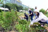 오산천 돌보미 및 작은정원 봄맞이 단장 대표이미지