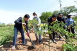 2023 탄소중립을 위한  공존과 평화 나무심기 대표이미지