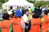 2023 탄소중립을 위한  공존과 평화 나무심기 대표이미지