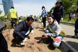 2023 탄소중립을 위한  공존과 평화 나무심기 대표이미지