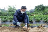  오산로컬협동조합 꿈방울 주말농장 감자수확 및 기부행사 대표이미지