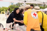 적십자와 함께하는 봄빛축제 대표이미지