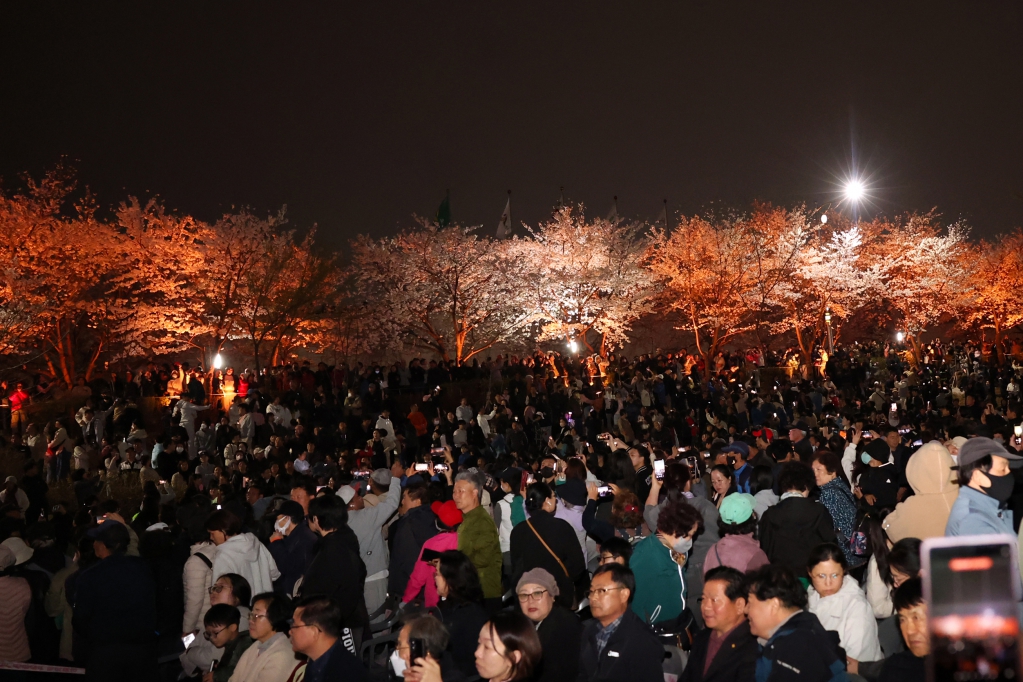오산천벚꽃축제_(12).JPG 이미지
